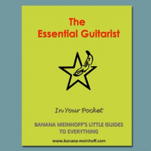 The Essentil Guitarist Guide